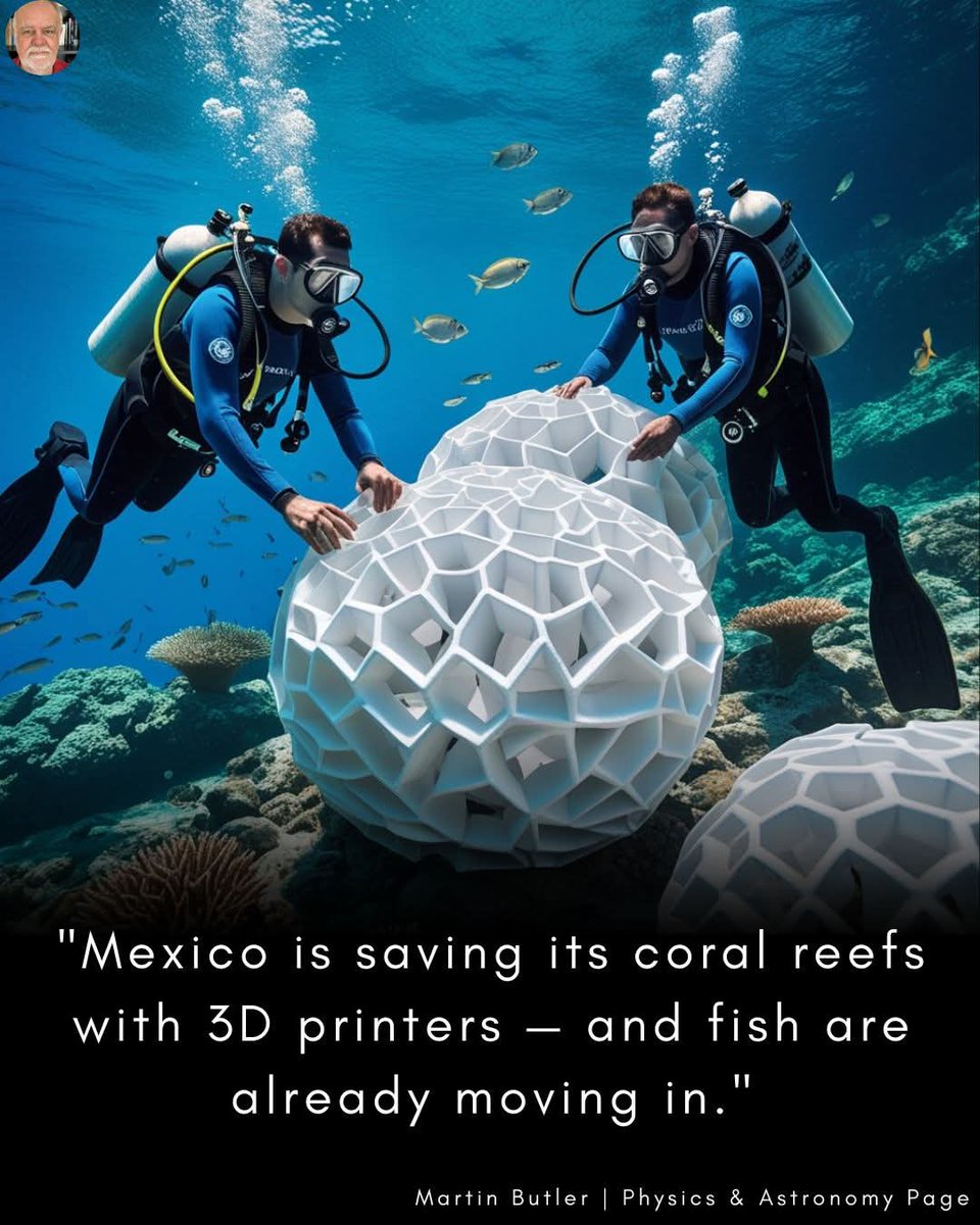 "Mexican marine scientists have developed biodegradable 3D-printed coral structures to help restore rapidly dying reefs along the Yucatán coast. These coral “scaffolds” mimic the shape and texture of real coral and are infused with nutrients to attract marine life.
"Once deployed