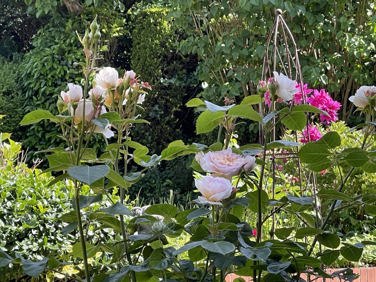 Love springtime! Regeneration is in the air! And inspiration follows…