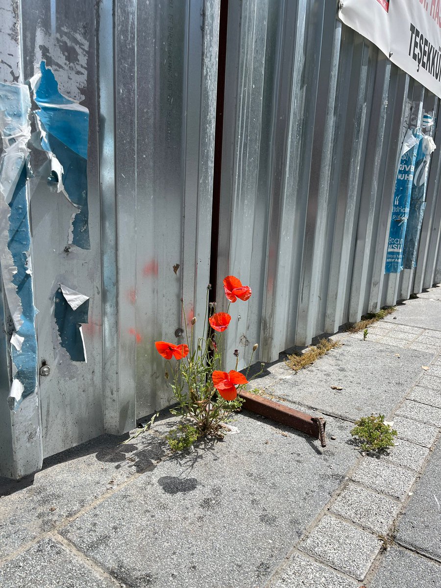 #umut her daim
Günün güzelliği