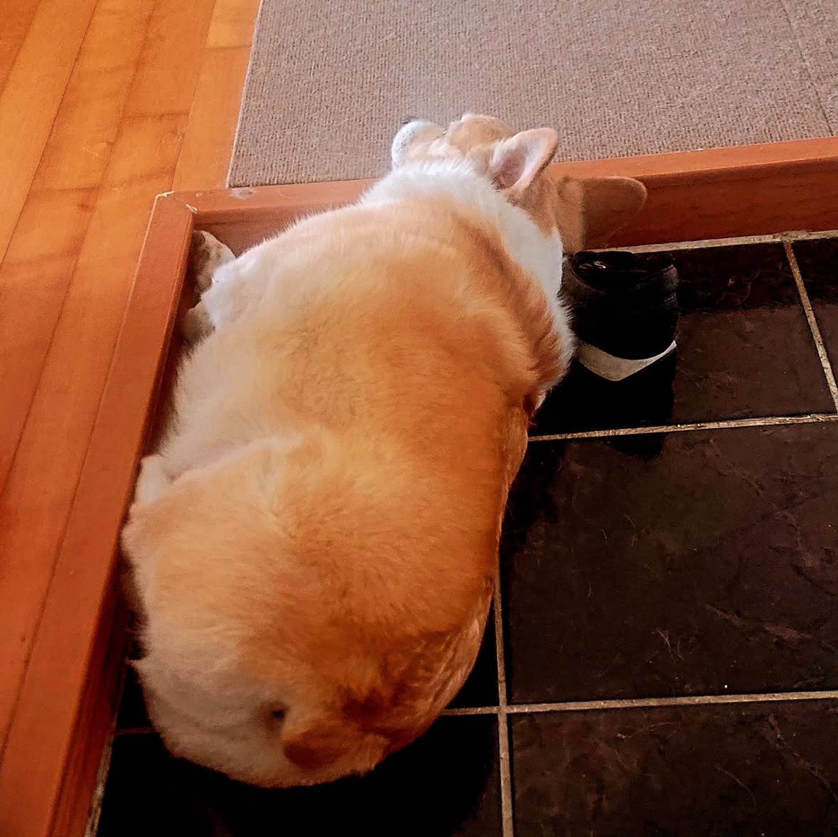 Today's Mongryongie update from Baekbeom Hyung!!!

"There's one warm loaf of bread at the entrance of our house every day..."

#BAEKHYUN @B_Hundred_hyun