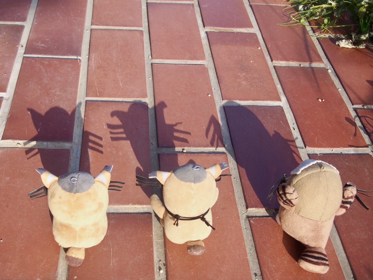 764w_v's tweet image. #無言で後姿を見せつけよ見た人もやってねお願い