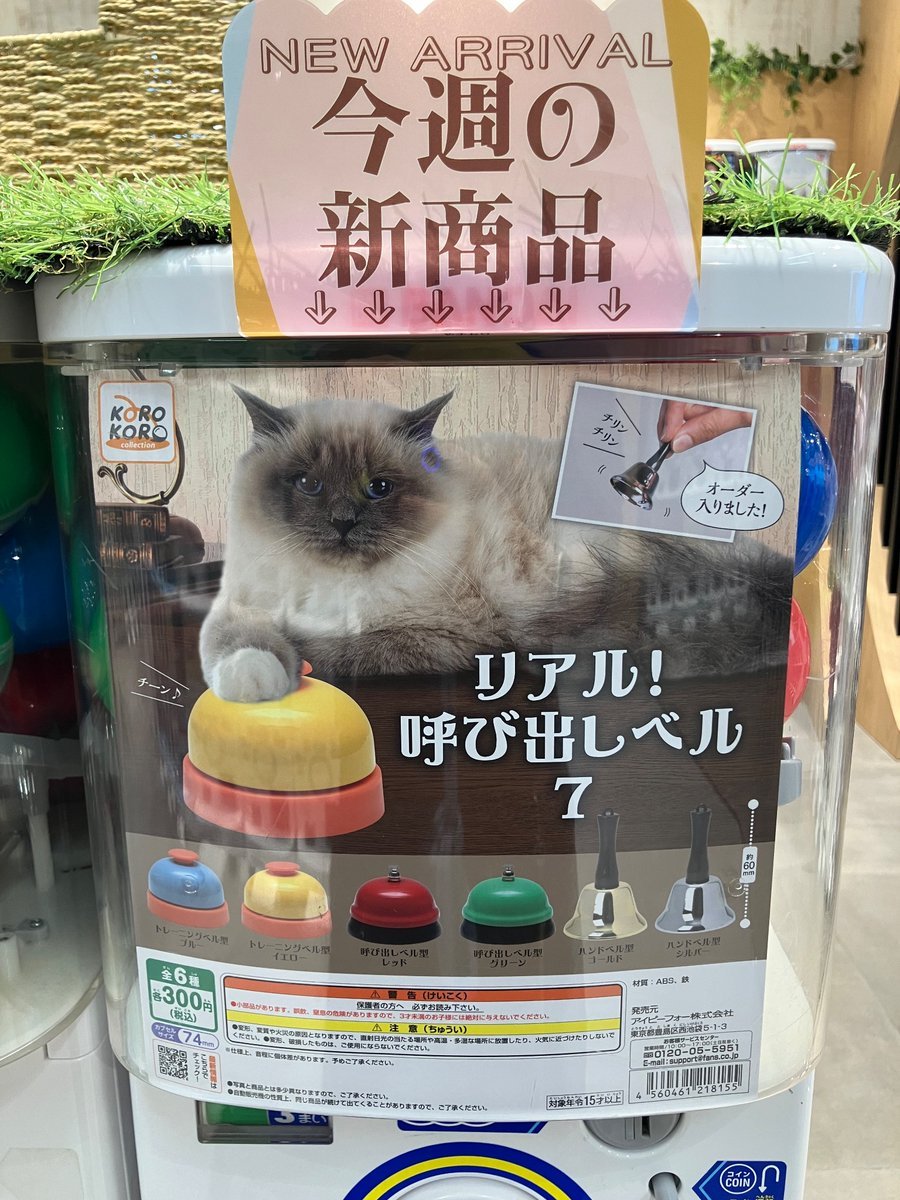 新商品入荷情報🦉📢 #ケアベア フェイスマスコット2 #リアル呼び出し