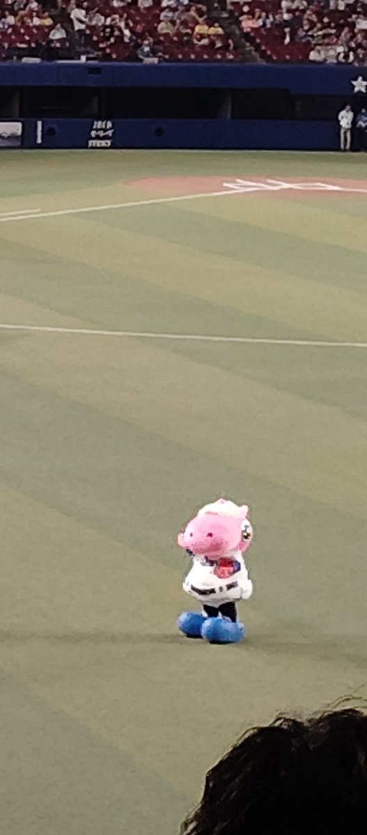 今月初のナゴヤドーム VS tigers
tigerggさんも一緒です。