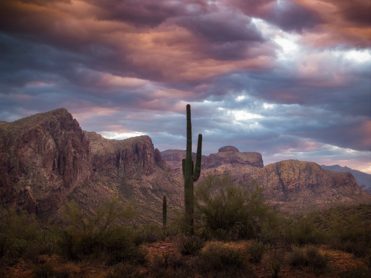 Fresh new 🌵 photo from:

📍 Sonoran Desert