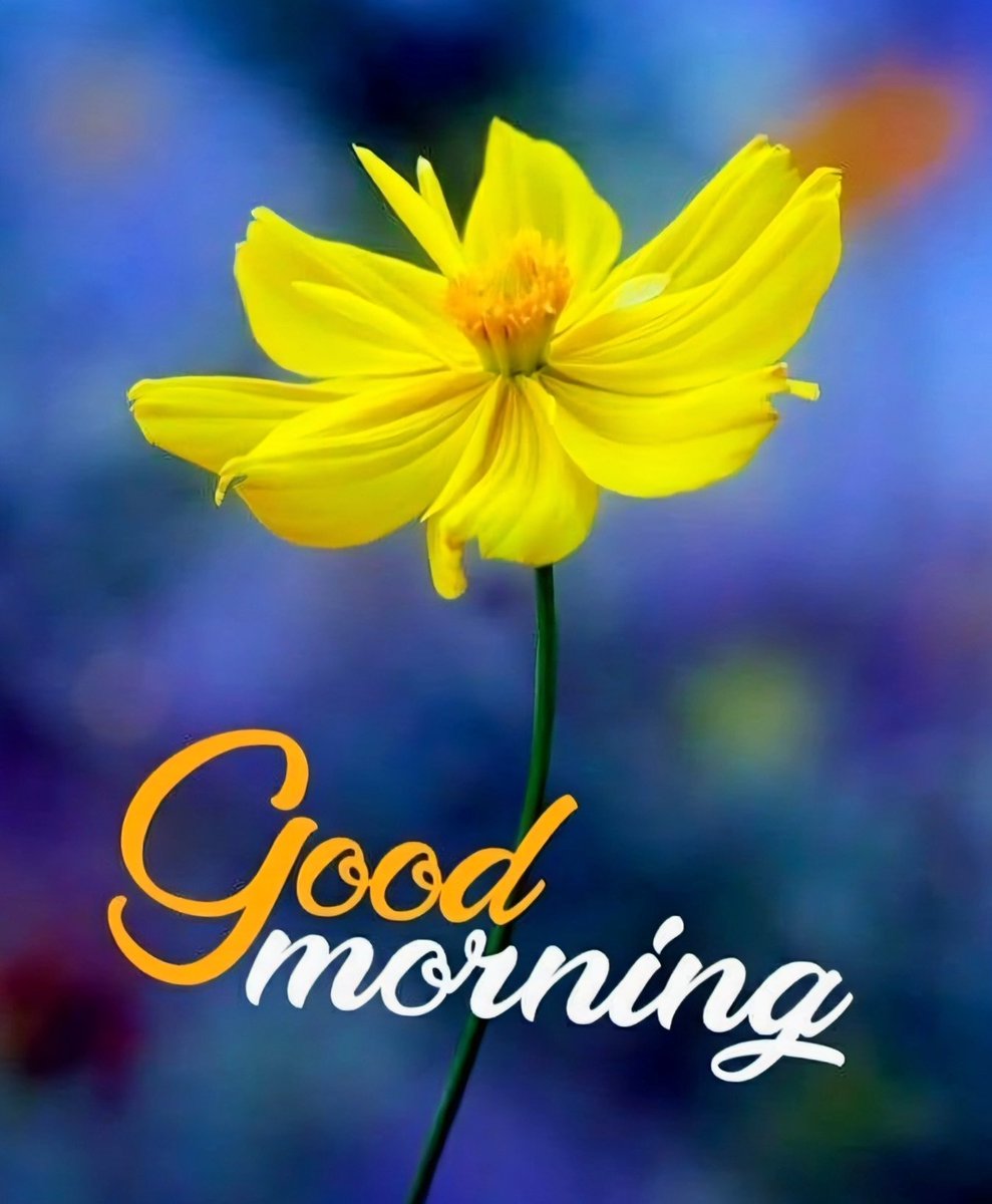 Good Morning, lovely! Your smile brightens my day.