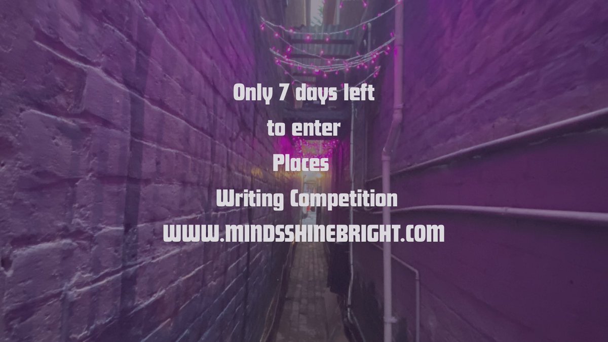 Minds Shine Bright tweet media