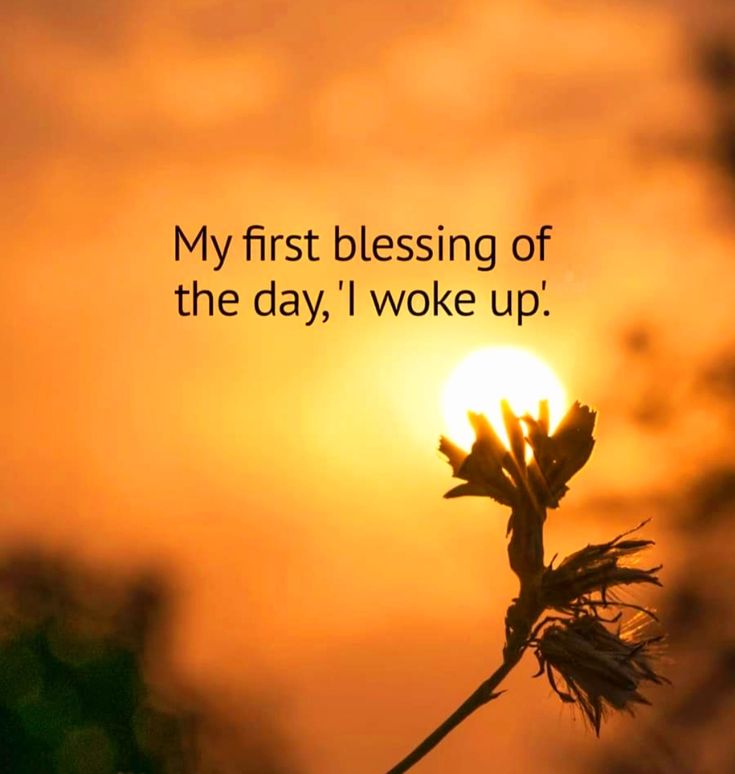 PositivitySaid's tweet photo. https://t.co/IDbLufA4QK