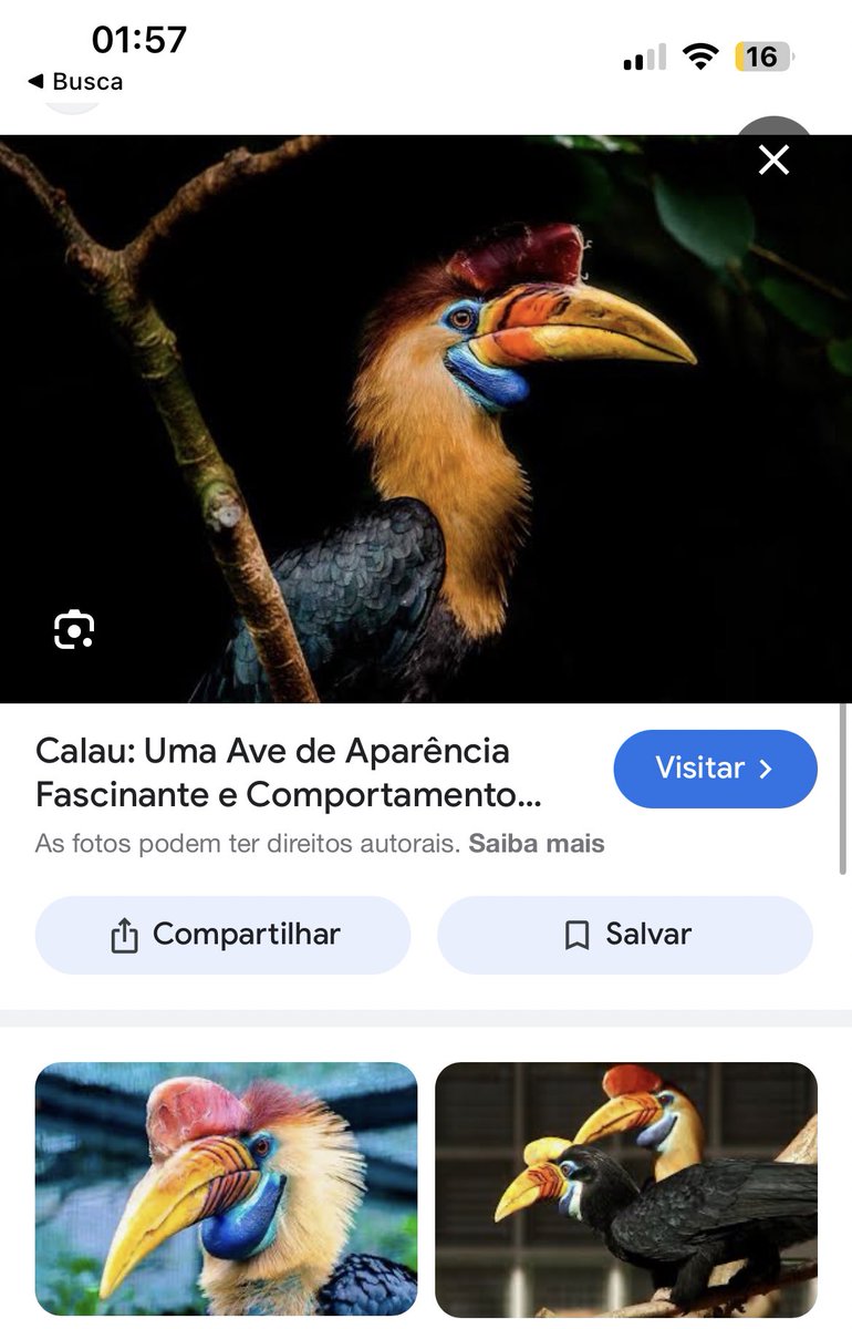 absolutamente ninguém: 
biólogo as 2 da manhã: descobri um bicho novo