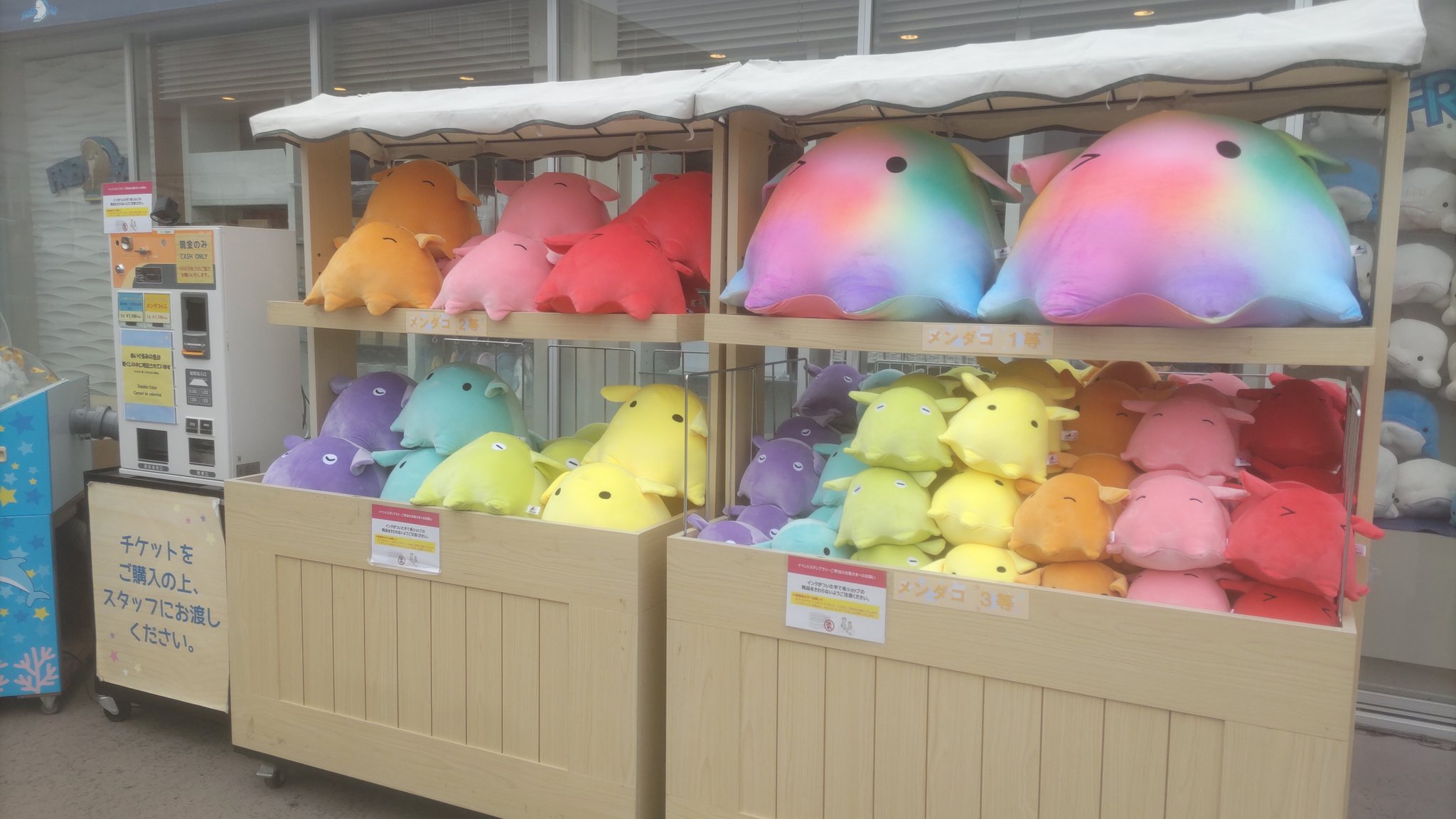 メンダコくじ　コンプリート　ぬいぐるみ 横浜・八景島シーパラダイス公式 on X: 