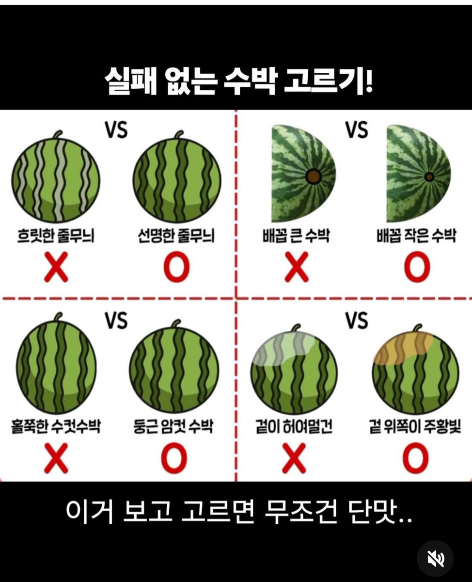 이제 수박의 계절이..