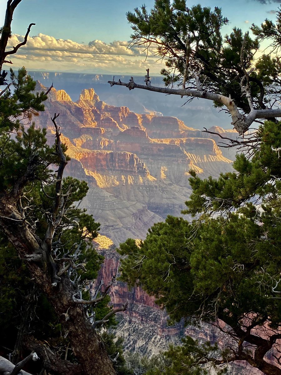 Quella strada per Yuma. Scorci. Grand Canyon. Potente
Foto Kenneth Poage