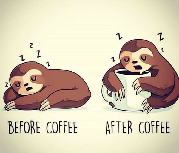 Good morning