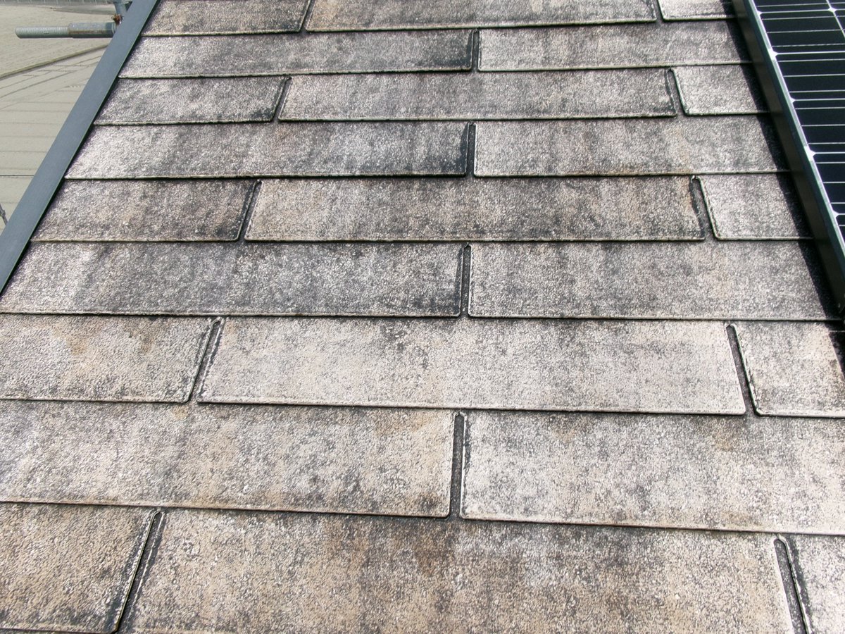 moritosou1's tweet image. 高圧洗浄でキレイに洗った後は必ず乾燥期間を置く（夏場一日、冬場二日）。その後、瓦と劣化具合に合わせて下塗りを塗装します。コロニアル瓦は塗料吸い込みが多いので十分な量の下塗りを塗布していきます。（塗っているのは代表の私です^^）人任せにせず自ら現場に出る事は大切です。