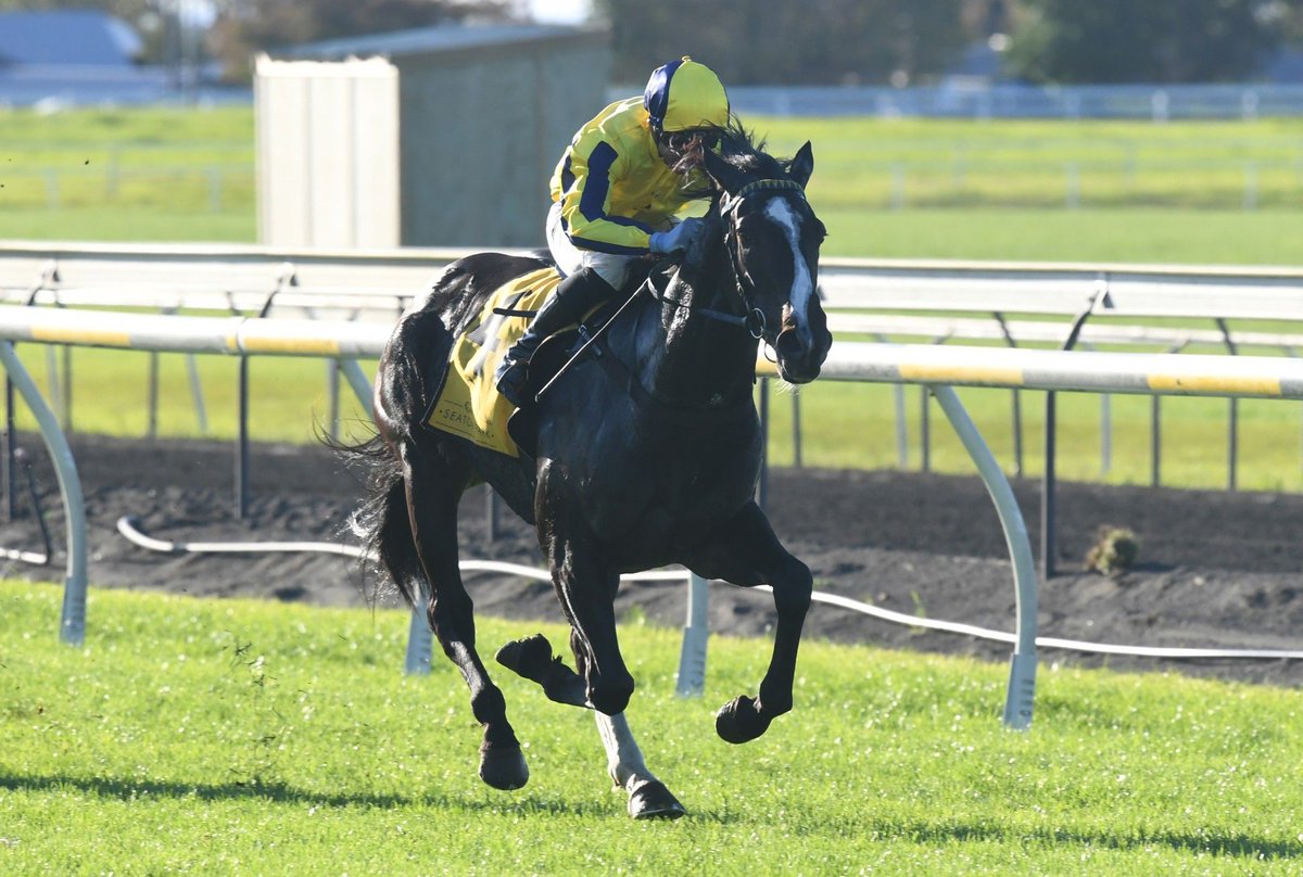“We know this guy can handle it wet so we rolled the dice and sent him down the Island."

Three-year-old Ribkraka thrived on a change of venue to deliver a front-running victory in the AB Electrical 3YO (1400m) at New Plymouth on Saturday. 

📰 Read more: buff.ly/56MikRC