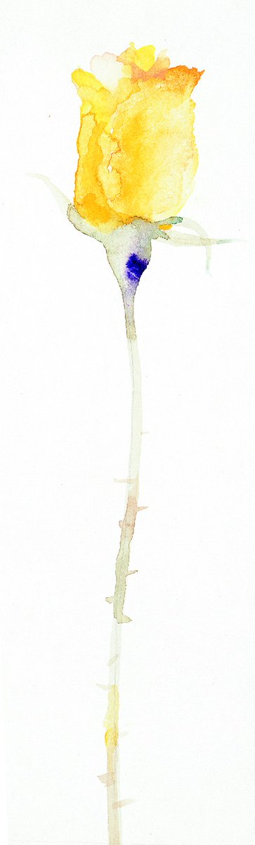 今日6月15日は、父の日です。

いつもありがとう、の気持ちをこめて。
みなさんが、父の日に伝えたいことはなんですか？

Happy Father’s Day!
Endless thanks for your love and support.
What message would you like to share with your Dad this Father’s Day?