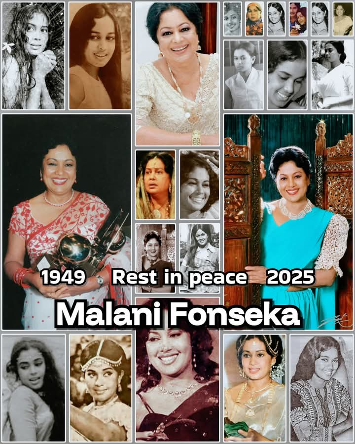 Shanaka_77's tweet photo. Rest in peace 🙏 https://t.co/BY1mX3tksF