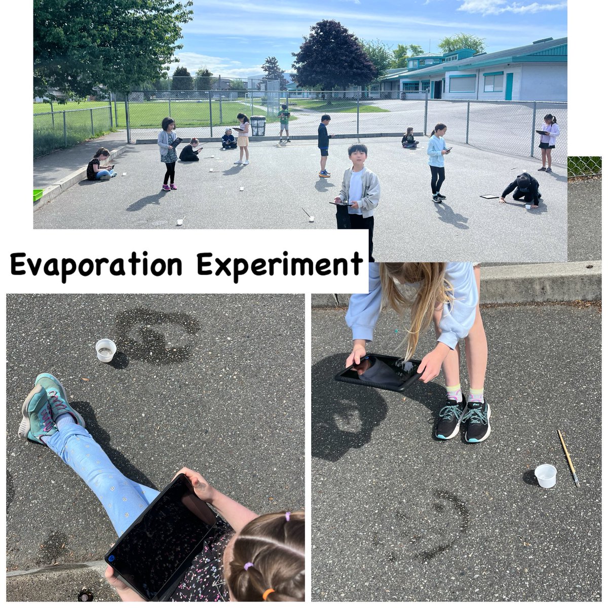 burnsmelissa1's tweet image. We took our learning outdoors to explore the fascinating process of evaporation. Sts used iPads to capture the ‘disappearing act’ in real-time &amp;amp; documented their observations with creative photo sequences in PicCollage. A beautiful blend of nature, tech, &amp;amp; discovery!  #sd38learn