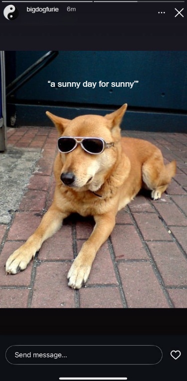 JetMatrixCrypto.eth🥷 tweet media