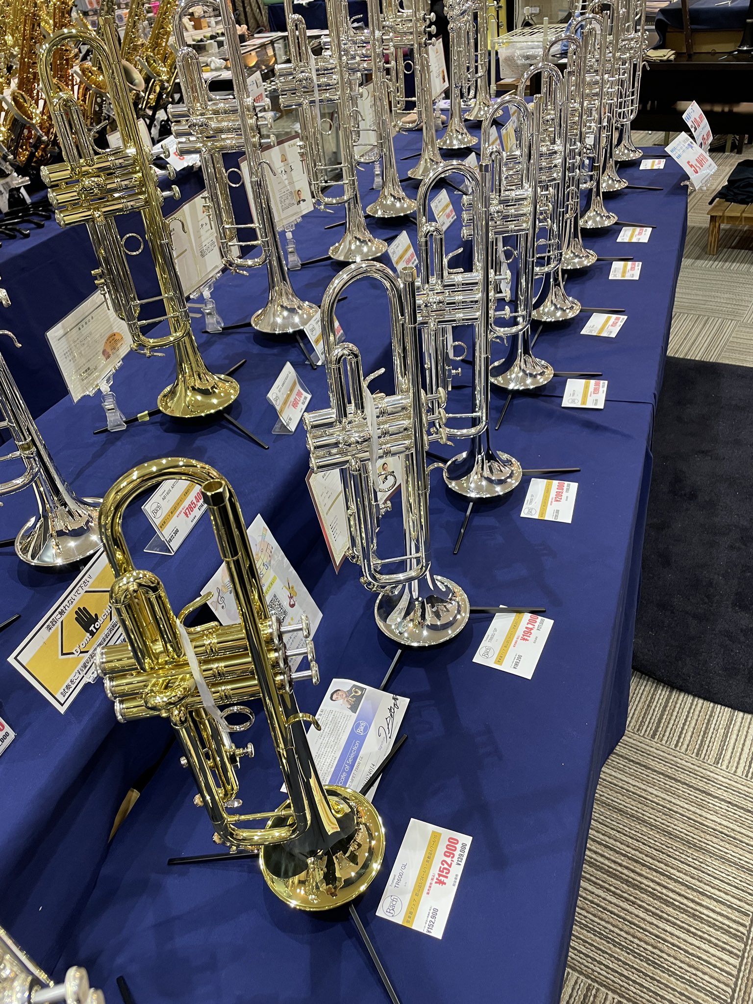 魅力の 管楽器・吹奏楽器 管楽器・吹奏楽器 - 81M Patrick