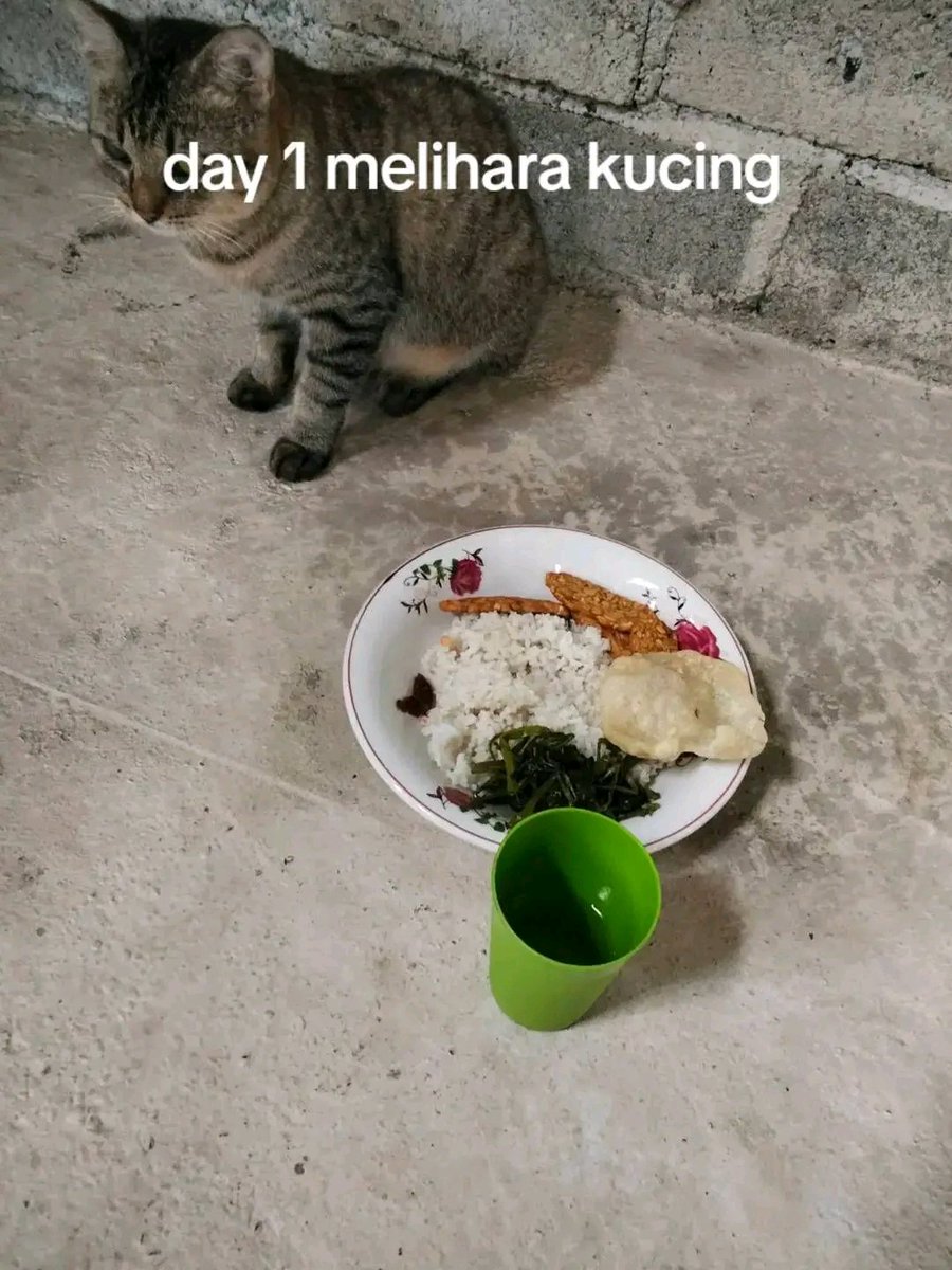 ZenAnnStore's tweet image. ko dia gamau mkn yah