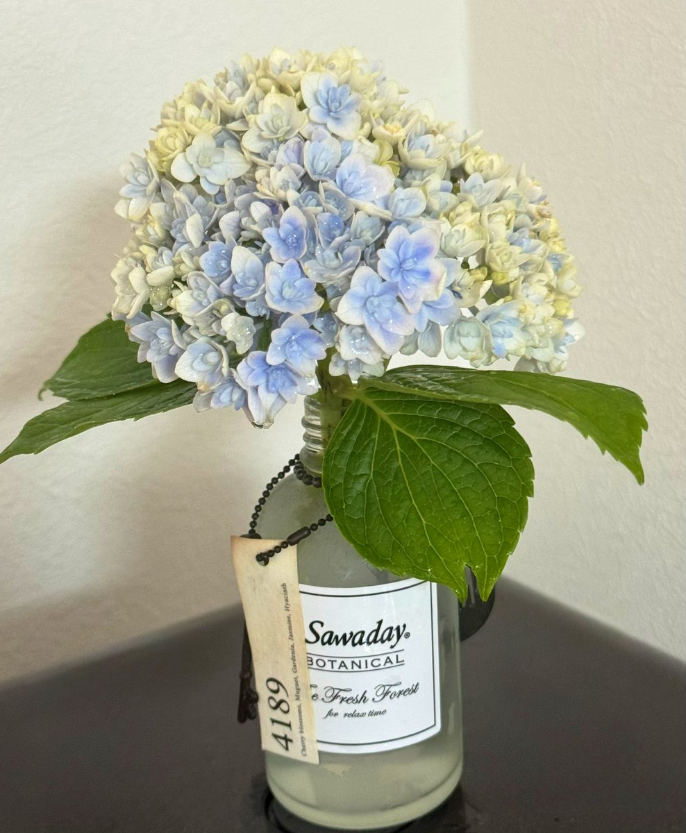 うさぬ(usanu_twitch) tweet media