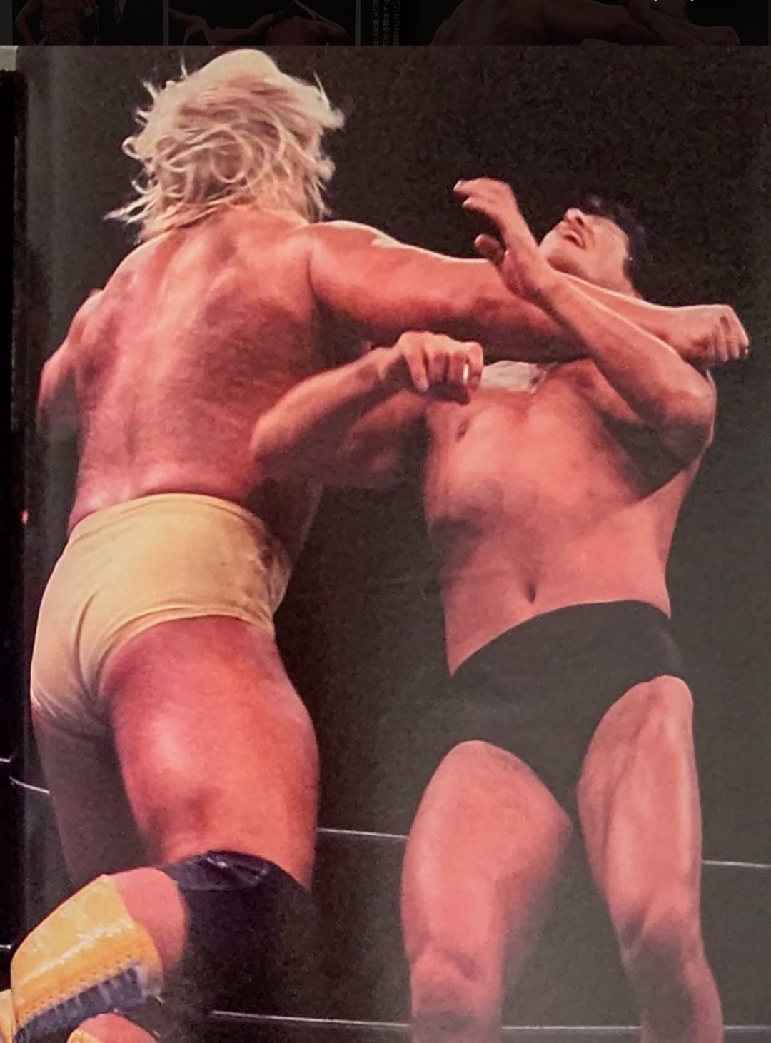 プロレスアルバム40 一番ハルク・ホーガン – 闘道館