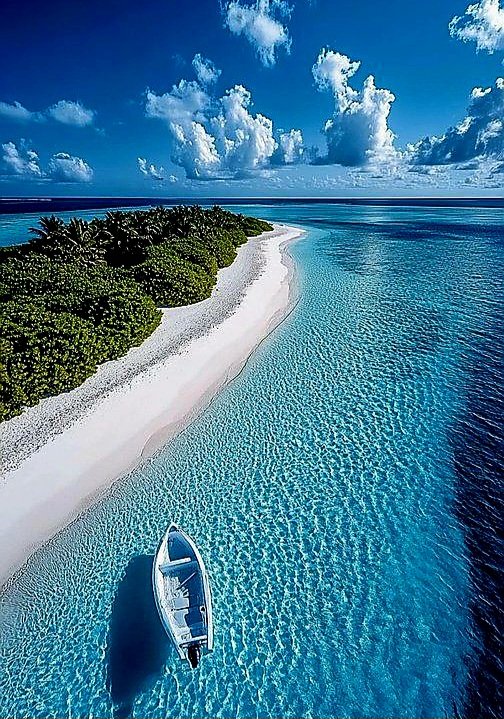 Saturday, 🩵💙💚🤍
Good morning world 🌐 🌬 🌞