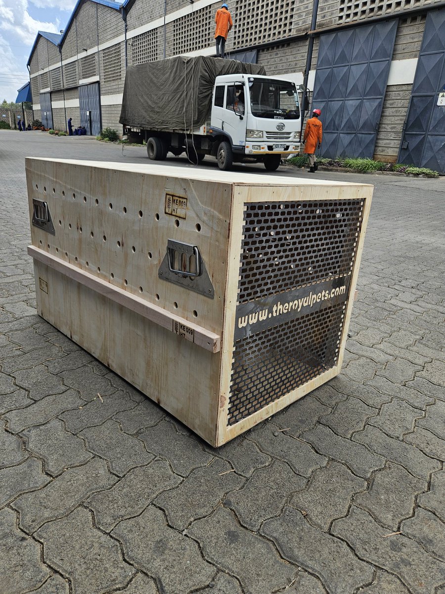 royalpets254's tweet photo. Significant enhancements have been implemented in the aesthetic design of the Casa Professional Travel crate.  It now features reinforced metal handles and reduced rear ventilation apertures to mitigate the risk of paw injuries. #AskRoyalPets #CasaProfesional #PetTravelAdventures https://t.co/Y54zko4Sji