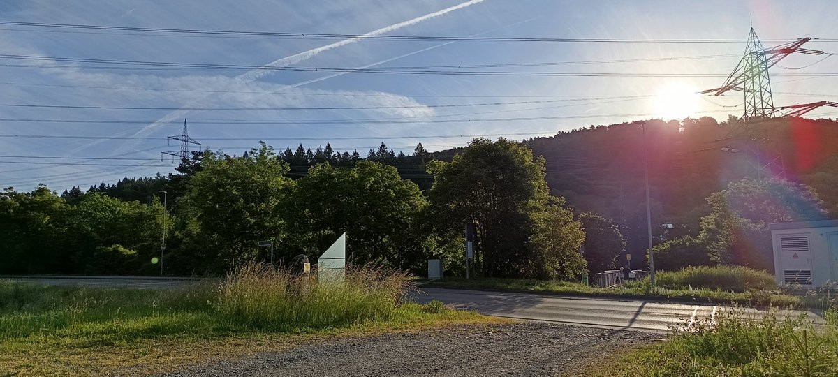 GM . sun out yay