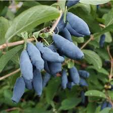 Парда 🦄 tweet media