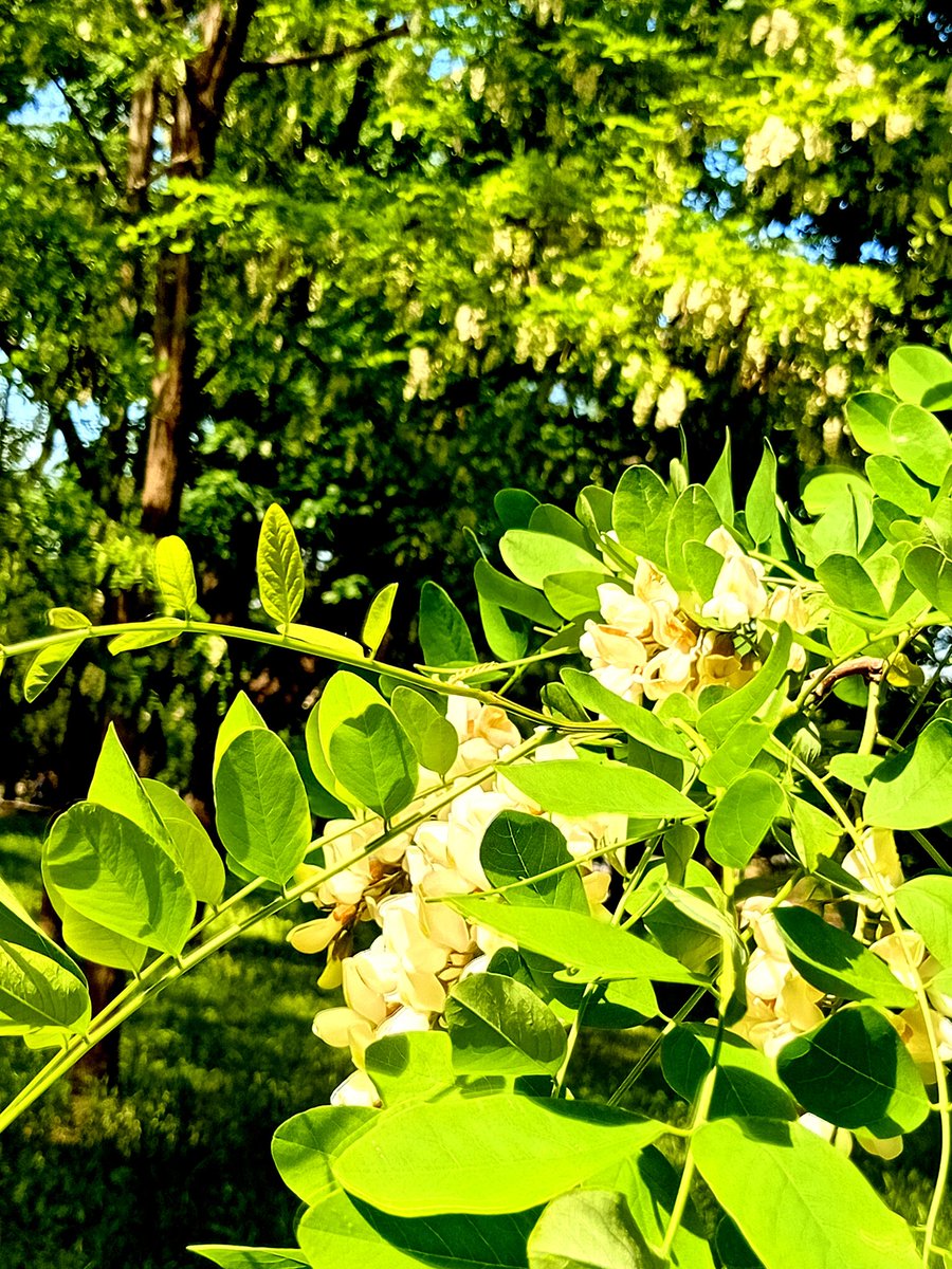 Катерина Галич tweet media