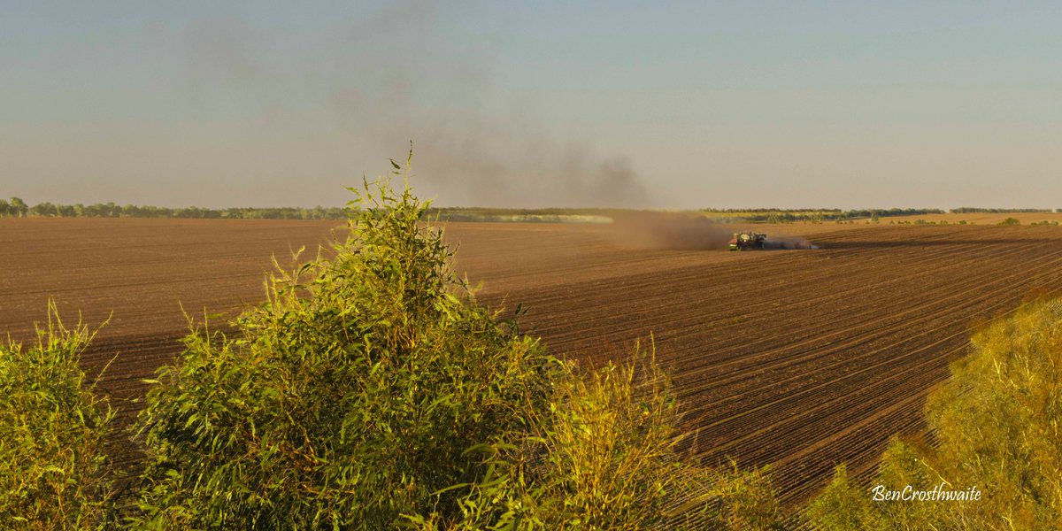 A bird's view of seeding.