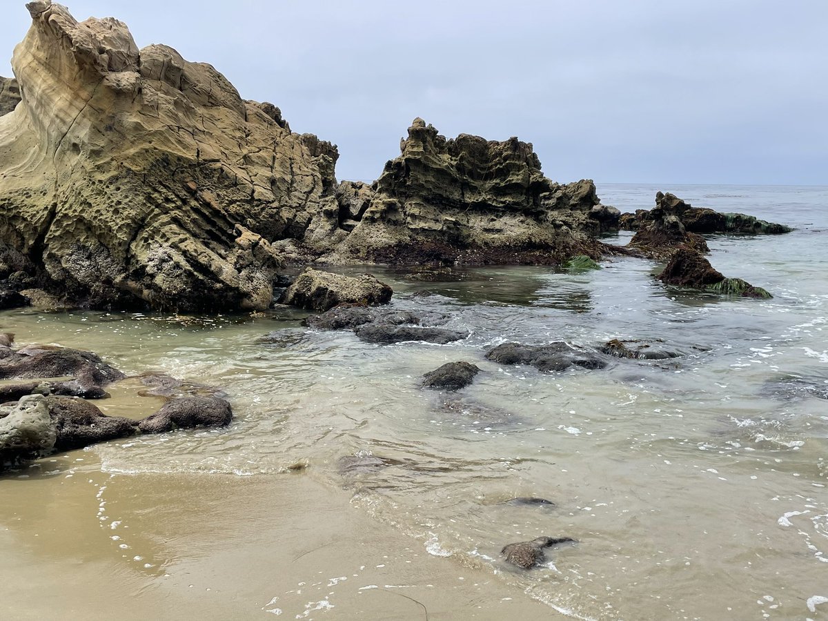 CourtneyPoole00's tweet photo. 2 days ago at Laguna Beach again. 🌊🌷 https://t.co/8KPEyT3RQu