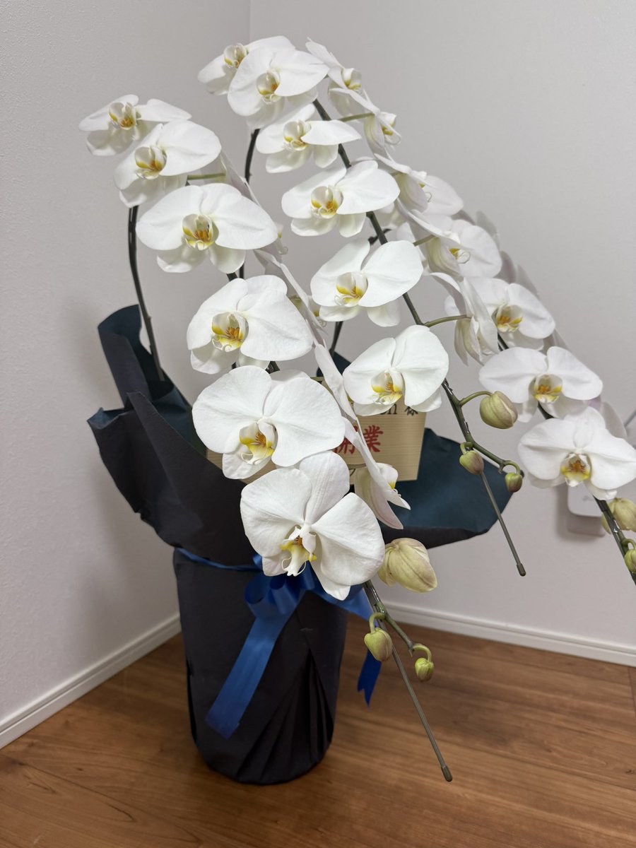 赤坂 元(あかさか げん)|北海道江別市のWeb制作会社 tweet media