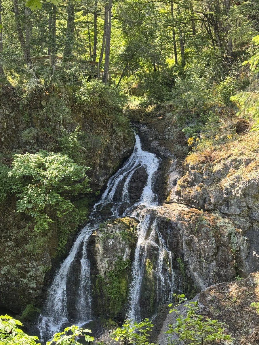 TrailASMR's tweet image. The hidden waterfall at Witty’s Lagoon—Sitting Lady Falls 💧🌿
New ASMR forest walk dropping soon. Let nature slow you down.
Subscribe here: youtube.com/@secrettrailsa…
#WittysLagoon #WaterfallVibes #ASMRNature #VancouverIsland #ForestWalk
#NatureLovers #Ocean #Rivers #Lagoon