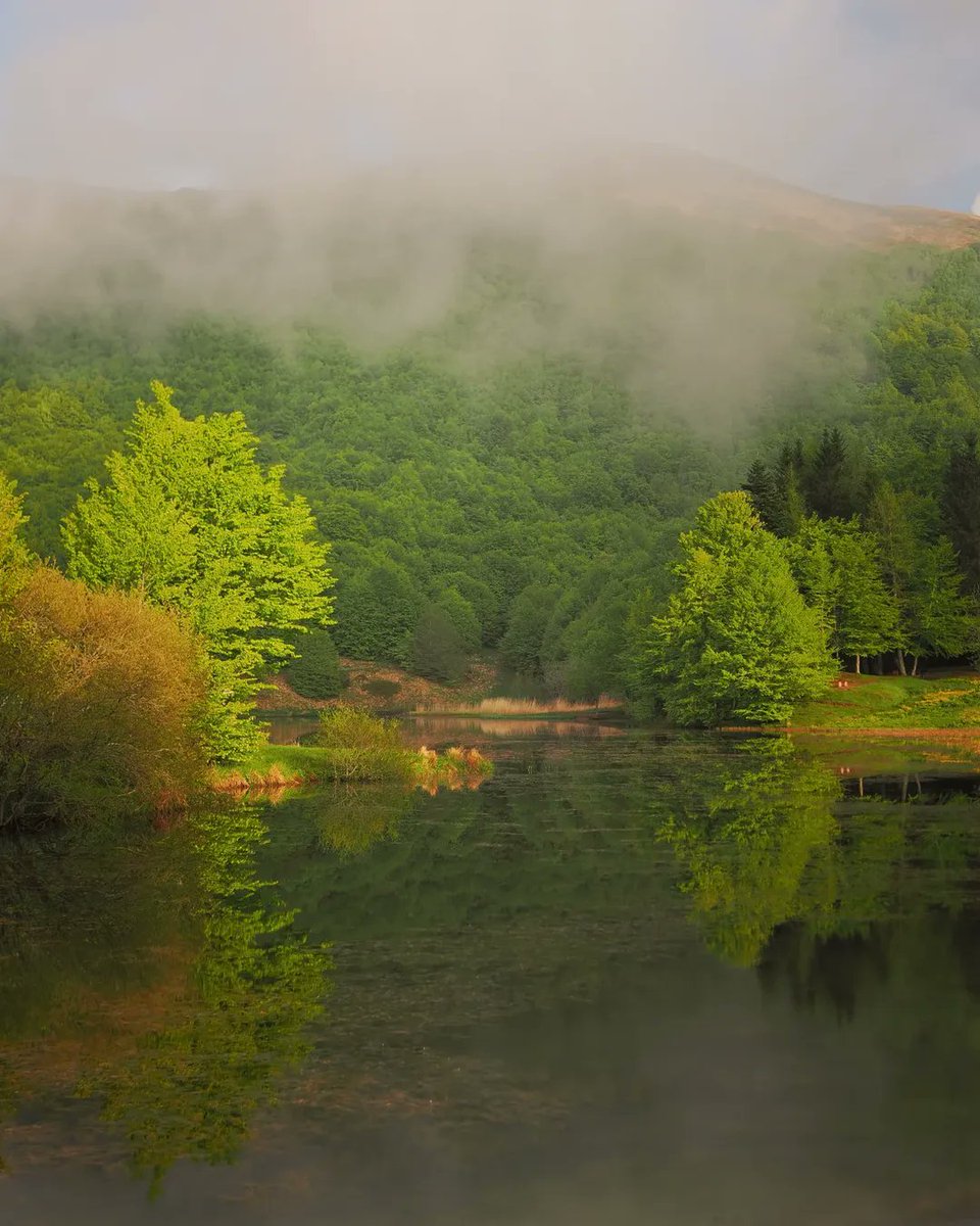 turismoER's tweet photo. Nebbia, riflessi e silenzio 🌿
Il Lago #Calamone, tra le montagne dell’Appennino, è un luogo dove il tempo rallenta e la natura sussurra
Ph. andrea_lazzarelli | #inEmiliaRomagna https://t.co/a7ITsVEARr