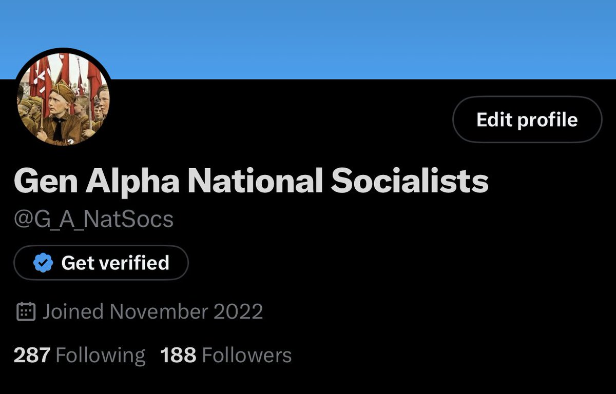 Gen Alpha National Socialists (@G_A_NatSocs) / Posts / X