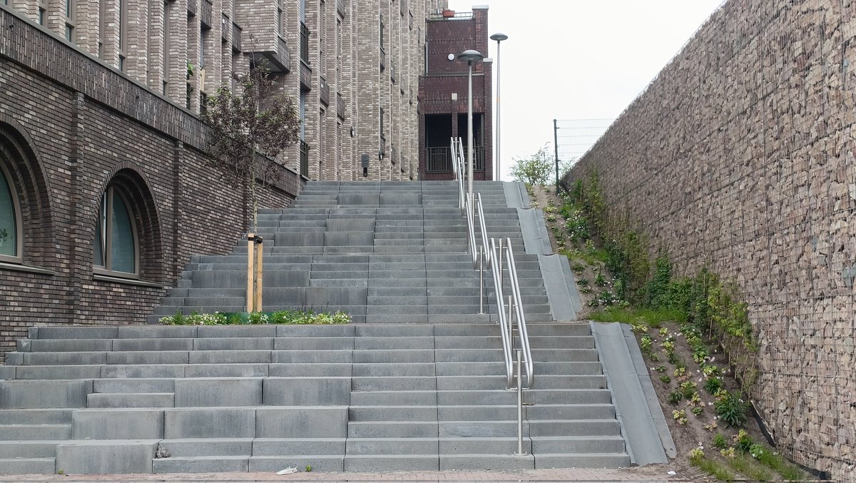 Weer een boom op en trap ontdekt in Utrecht 🌳