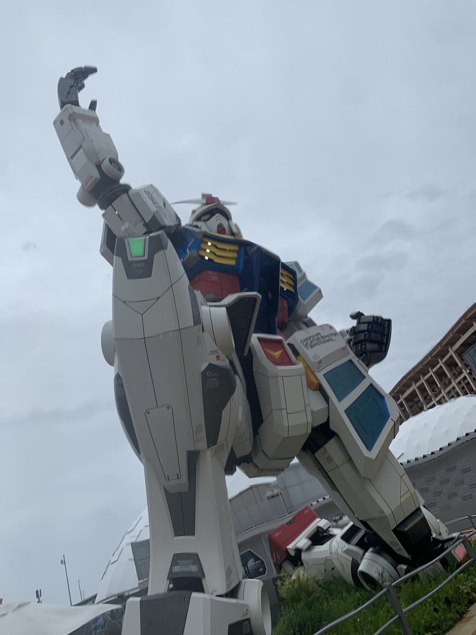 cfnm 相撲　裸 