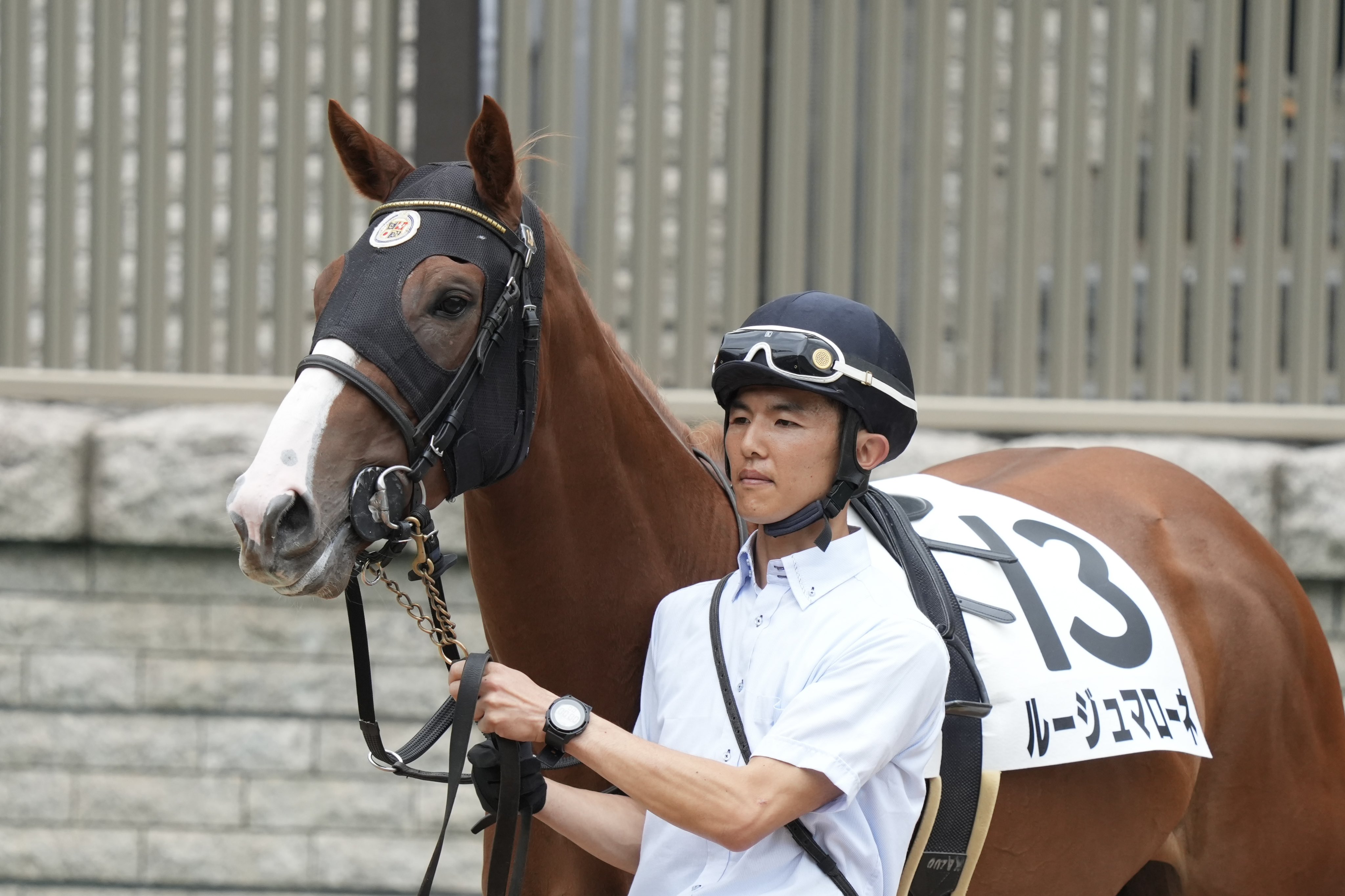 2025年最新】有馬記念 イヤーマフの人気アイテム - メルカリ