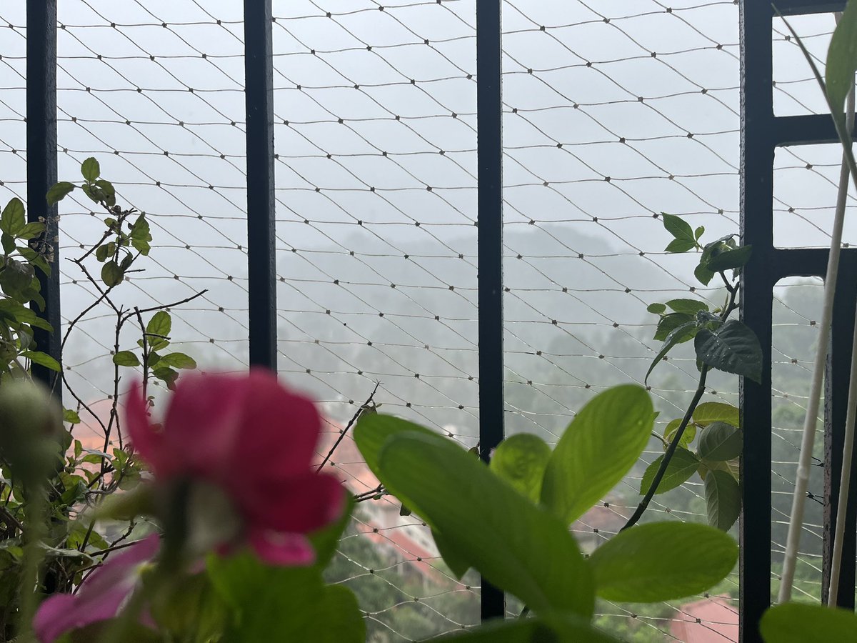 #Monsoon in #Kerala.. this is mid-day 11am view and not early morning..