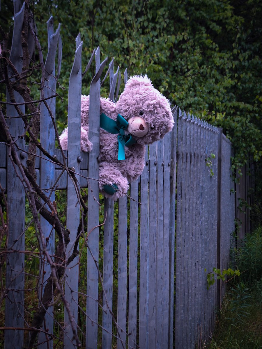 My evening walks have taken a sinister turn ...