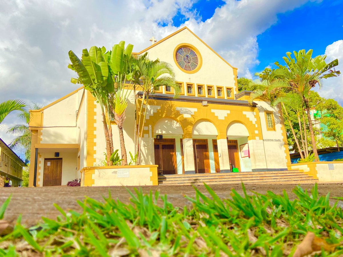 Dear God, we come before you with humble hearts, seeking guidance and wisdom. As we navigate the challenges of our university and country, we pray for unity, compassion, and understanding.
May our pursuit of knowledge be guided by empathy and justice. Help us address issues like