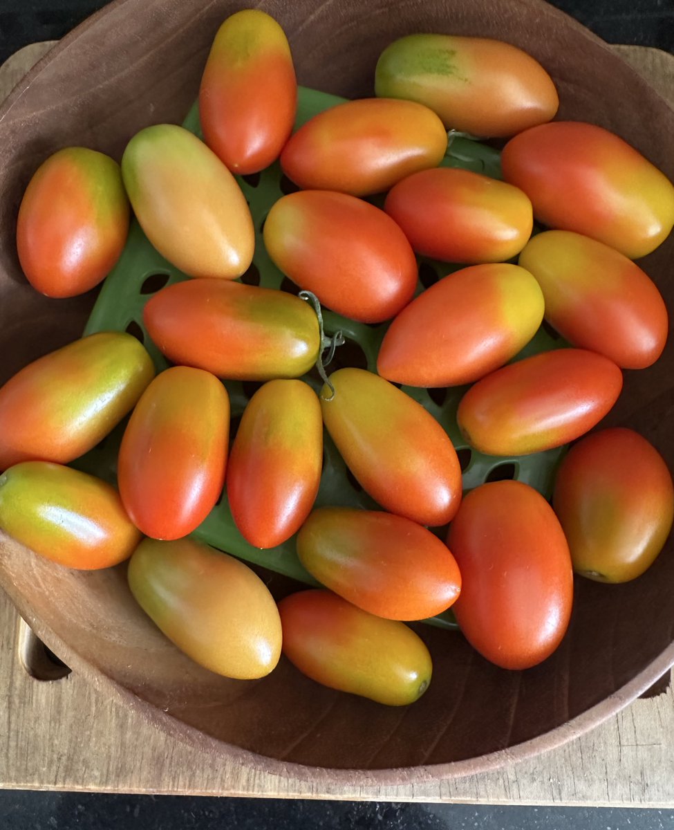 ผลิดอก ออก(เก็บ)ผล