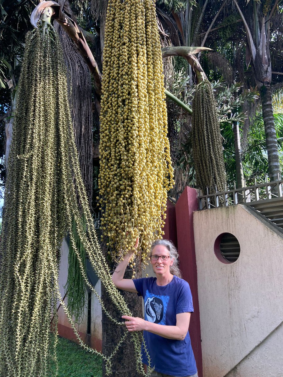 Seeds. Did you want seeds?