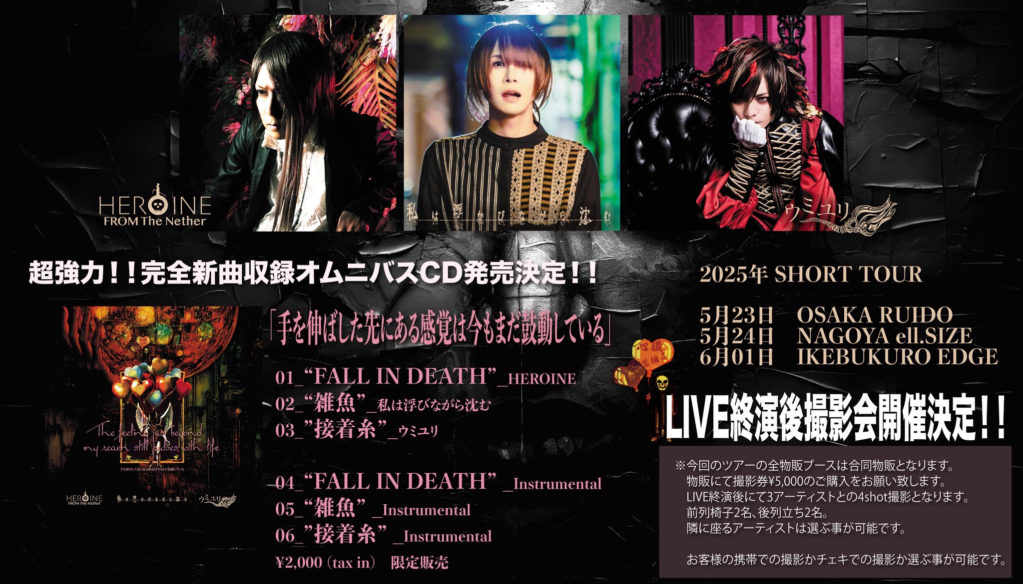ANATHEMA - zoisite shop / ゾイサイトショップ