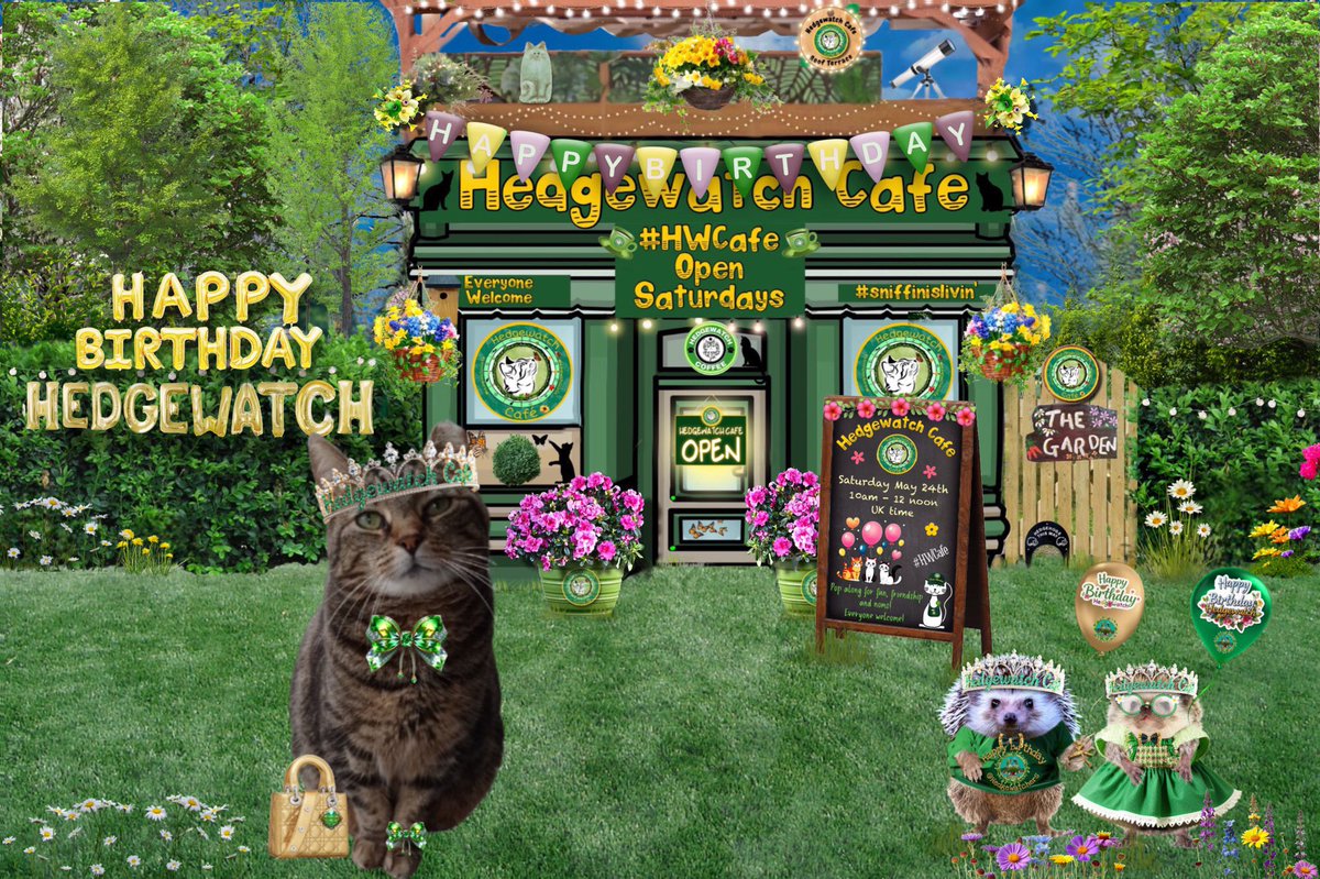 <a href="/Hedgewatchers/">Hedgewatch</a> Happy Birthday #Hedgewatch 🎉🎉 Just arrived at #HWCafe no Odie <a href="/OdieOrville/">THE Odie Bob Orville 😺</a>  today, hope to catch up with furriends.
<a href="/JaneBirak/">GingermonsterZiggy 🎗🇮🇱🏴󠁧󠁢󠁥󠁮󠁧󠁿💙🐾🐾🧡</a> <a href="/Phoebe_the_Catt/">Phoebe Cat</a> <a href="/gingertheorange/">gingerthecat🇺🇦🇬🇧</a> <a href="/bestbuds21/">Zoe_thewondercat</a> <a href="/starskys_lady/">Barb & Jadzia 🐈🐾🎶🎶🎶</a> <a href="/MissyElsie/">🏳️‍🌈Mitzi 💜 Dook (RIP)🇦🇺</a>  <a href="/Gorillababe/">gorillafan</a> <a href="/AlienBunny123/">Bunny</a>