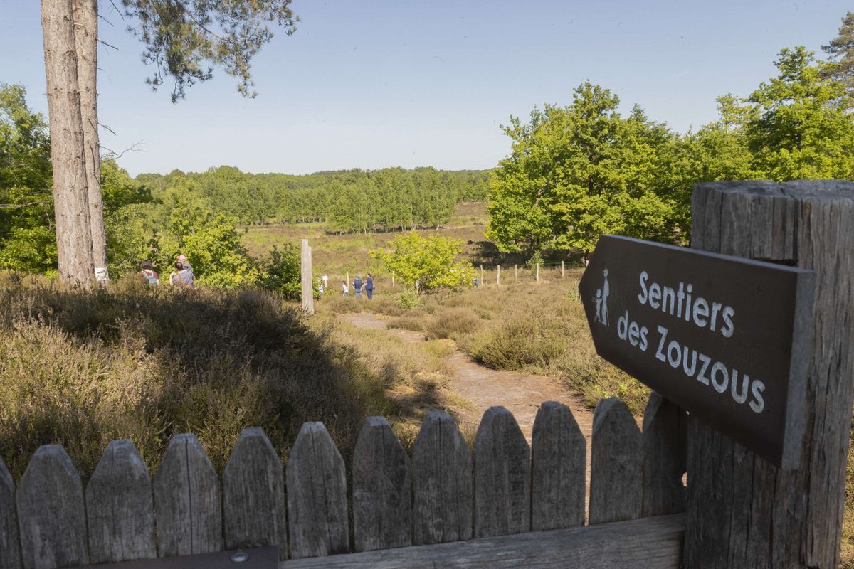 hautsdefrance's tweet photo. đč Jusquâau 15 juin, venez nombreux dĂ©couvrir toute la beautĂ© de la nature prĂ©servĂ©e au plus prĂšs de chez vous grĂące Ă la seconde Ă©dition de #HDFNature !
đș Venez vivre la biodiversitĂ© avec votre RĂ©gion #hautsdefrance et le @CENHDF !
â dâinfos đ https://t.co/vVYyDZuUgj https://t.co/7SVSKgiuwP