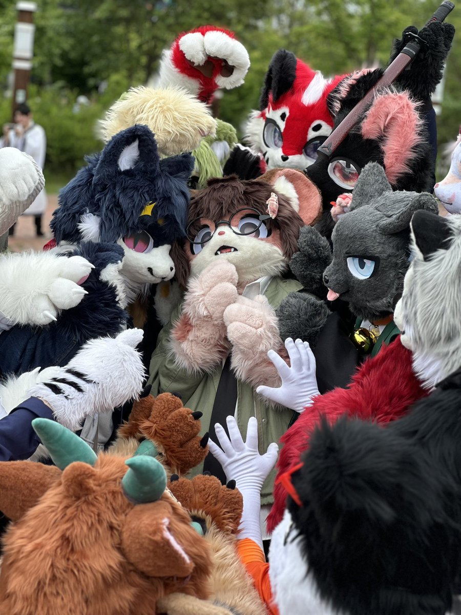 데뷔날부터 고양이과들한테 잡아먹히는 아울메이즈