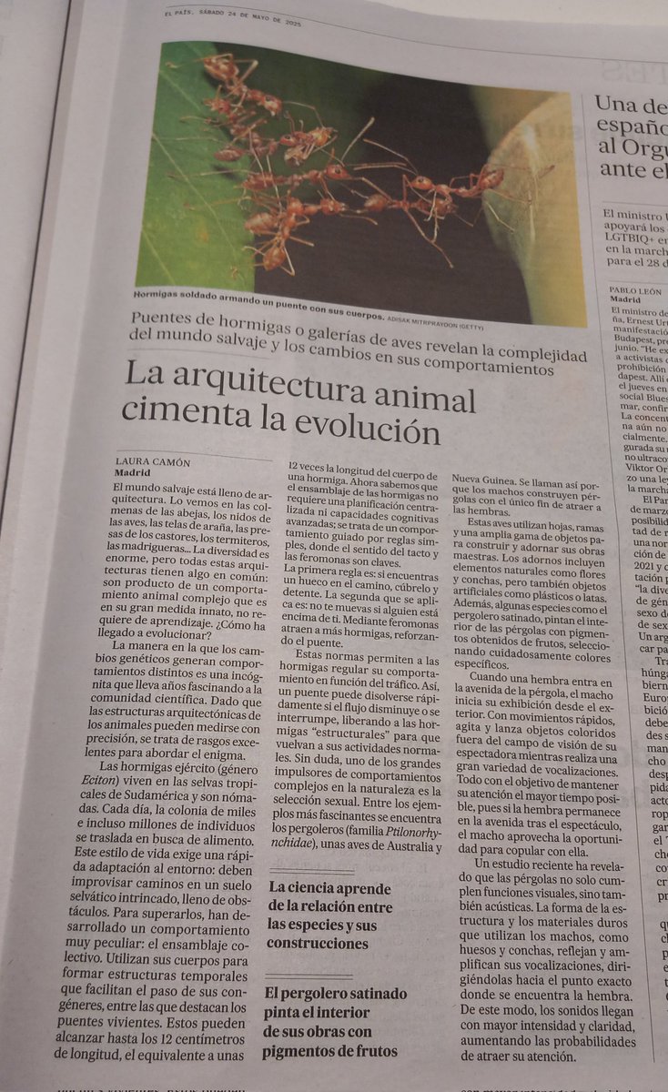 Fédor Q. (@captainakab) on Twitter photo 